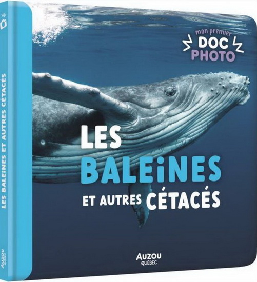 Les Baleines et autres cétacés - SYLVIE ROBERGE