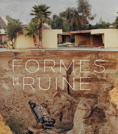 Les Formes de la ruine - ALAIN SCHNAPP - SYLVIE RAMOND