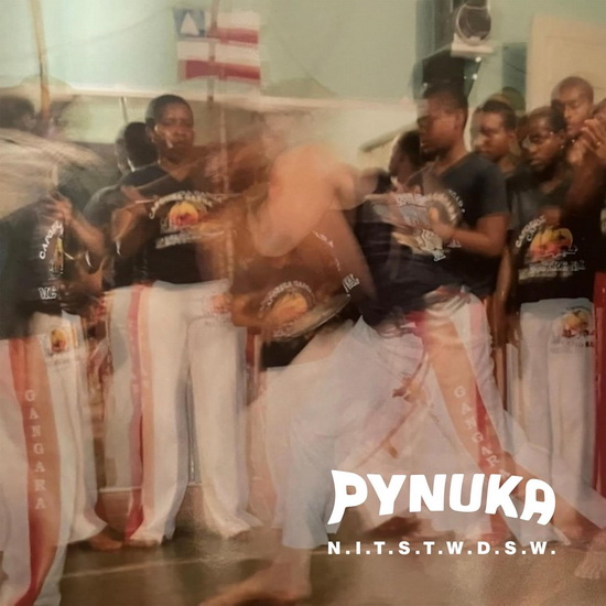 N.I.T.S.T.W.D.S.W. - PYNUKA