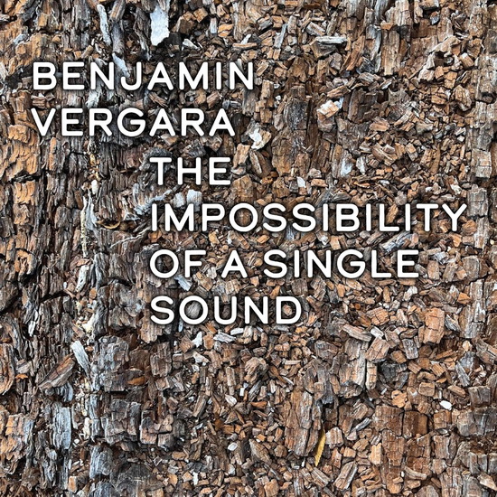 The Impossibility Of A Single Sound - BENJAMÍN VERGARA