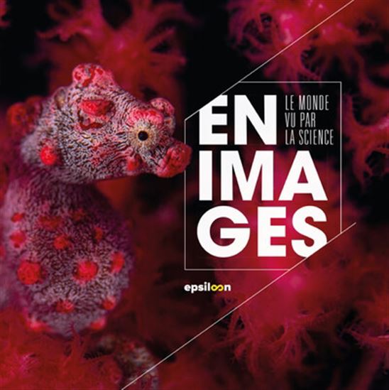 Le Monde vu par la science en images - COLLECTIF