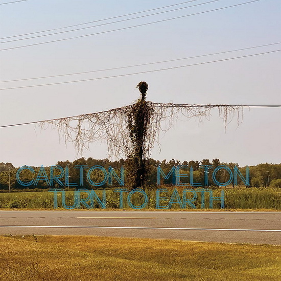Turn To Earth - CARLTON MELTON