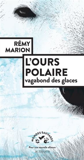 Le Vagabond des glaces - RÉMY MARION