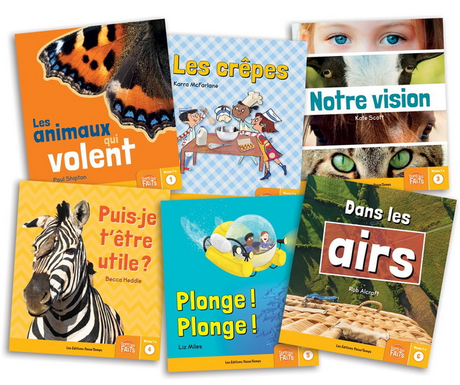 Dans les faits : niveau 1A - COLLECTIF