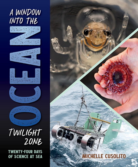A Window into the Ocean Twilight Zone: Twenty-Four Days of Science at Sea - MICHELLE CUSOLITO