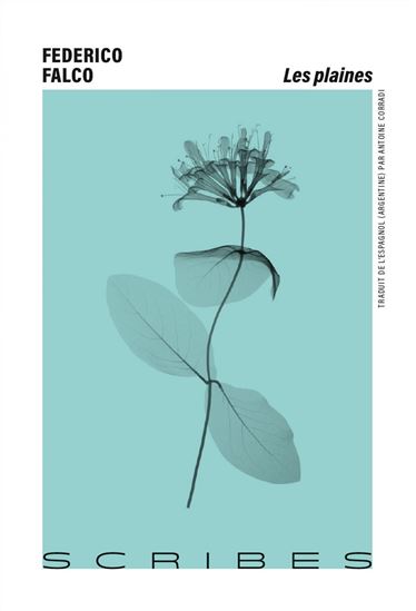 Les Plaines - FEDERICO FALCO