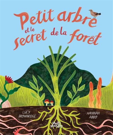 Petit arbre et le secret de la forêt - LUCY BROWNRIDGE - HANNAH ABBO