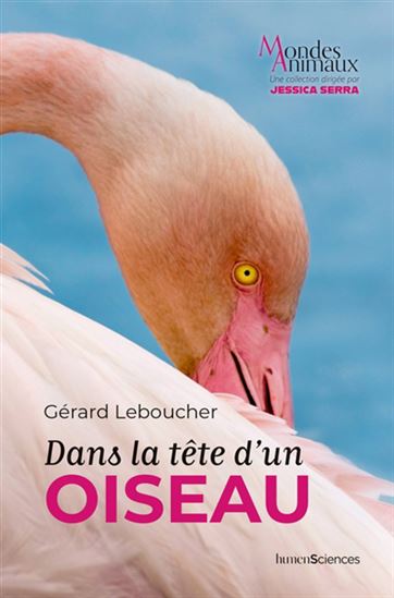 Dans la tête d'un oiseau - GÉRARD LEBOUCHER
