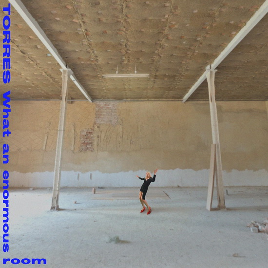 What An Enormous Room (Vinyle) - TORRES