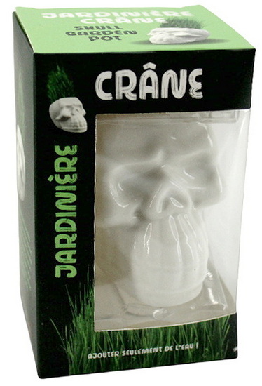 Crâne avec chevelure d&#39;herbe