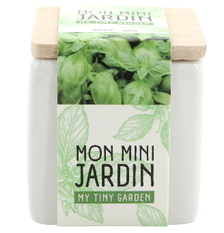 Fines herbes en pot 4AS