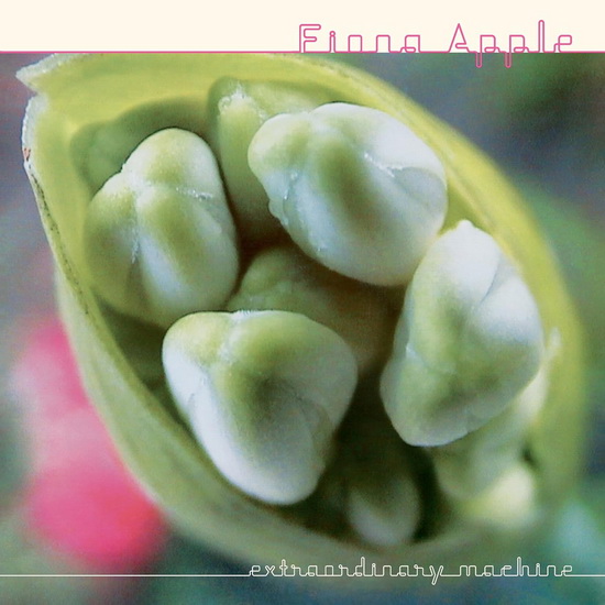 Extraordinary Machine (Vinyle) - FIONA APPLE