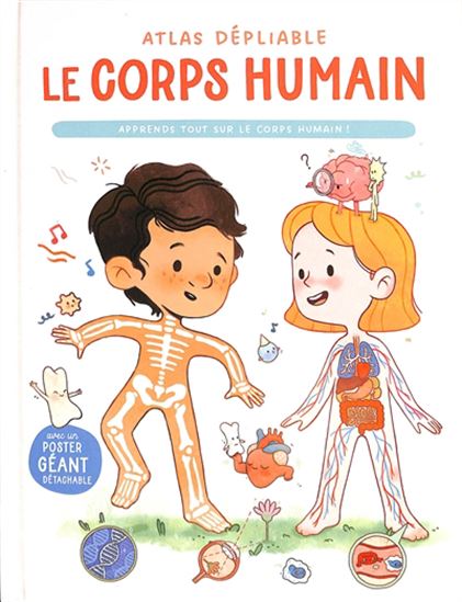 Mon atlas dépliant génial : le corps humain N. éd. - TATIANA KAMSHILINA
