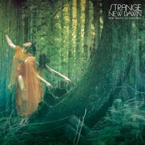 New Nights Of Euphoria - STRANGE NEW DAWN