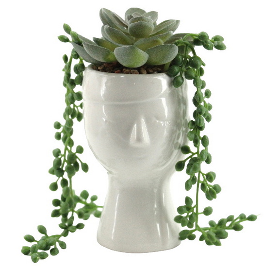 Plante en pot visage pensif