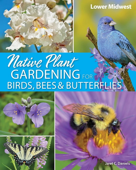 Native Plant Gardening for Birds, Bees & Butterflies: Lower Midwest - JARET C DANIELS