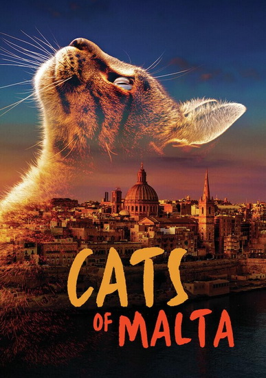 Cats of Malta - SARAH JAYNE