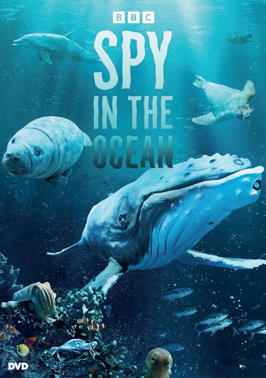 Spy in the Ocean - DAVID TENNANT