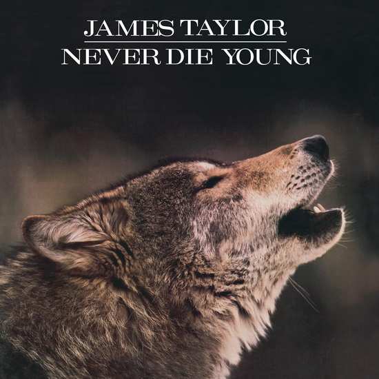 Never Die Young (Vinyle - Marbré Noir et Blanc) - JAMES TAYLOR