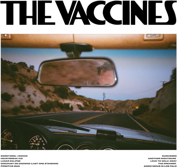 Pick-Up Full Of Pink Carnations (Standard) - THE VACCINES