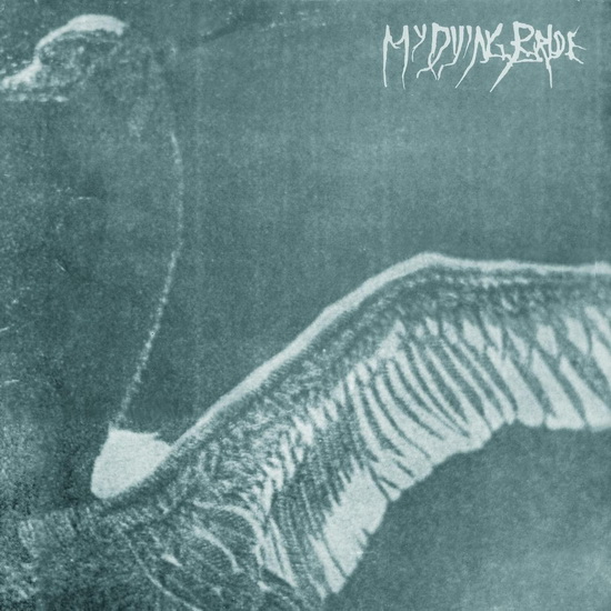 Turn Loose The Swans (30th Anniversary Ed.)(Vinyle) - MY DYING BRIDE