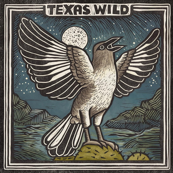 Texas Wild - DIVERS