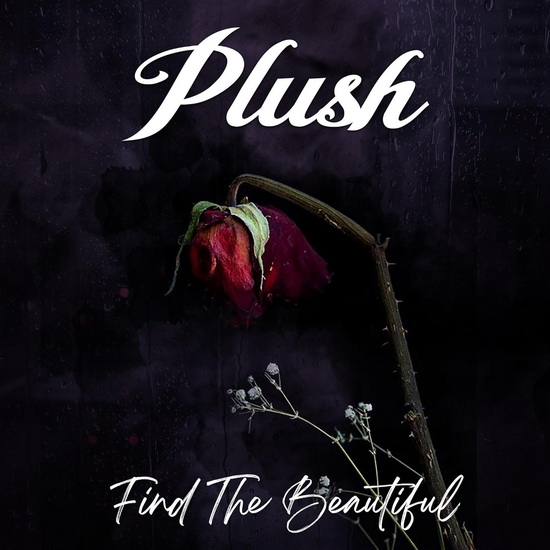 Find The Beautiful - PLUSH