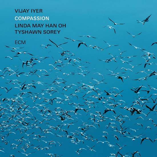 Compassion - VIJAY IYER