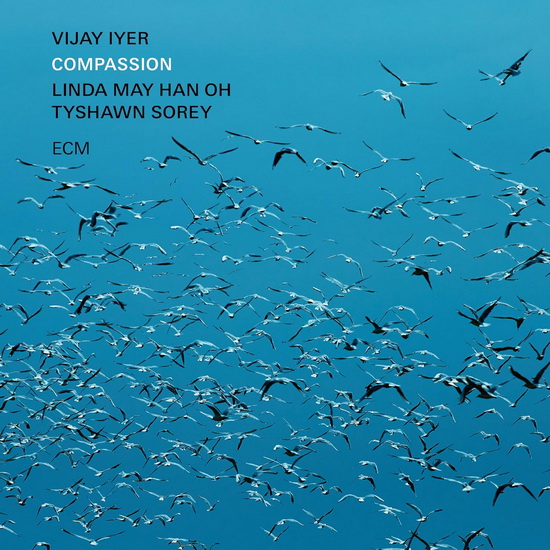 Compassion (2 Vinyles) - VIJAY IYER