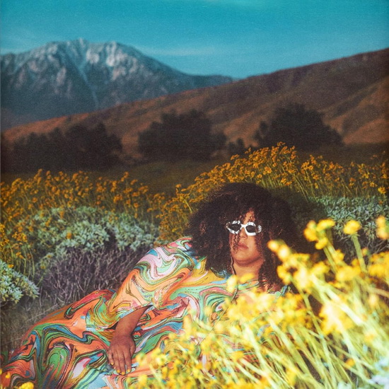 What Now - BRITTANY HOWARD