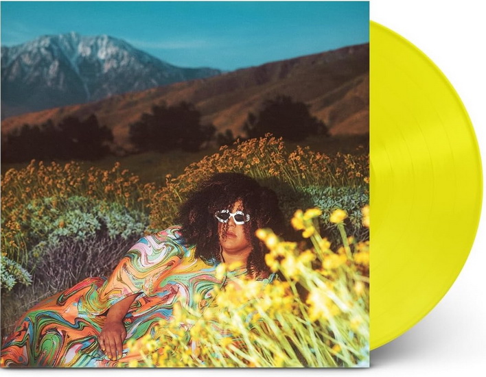 What Now (Vinyle) - BRITTANY HOWARD