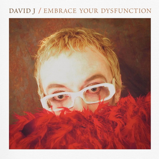 Embrace Your Disfunction (Vinyle - Rouge et Blanc) - DAVID J