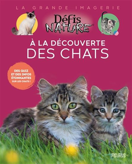 À la découverte des chats - MARIE-ALICE TROCHET-DESMAZIER