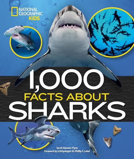 1,000 Facts About Sharks - SARAH WASSNER FLYNN - PHILLIP S LOBEL