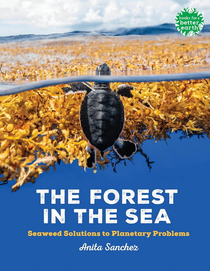 The Forest in the Sea: Seaweed Solutions to Planetary Problems - ANITA SANCHEZ