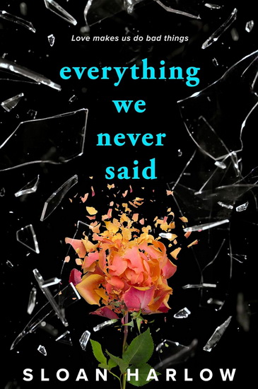 Everything We Never Said - SLOAN HARLOW