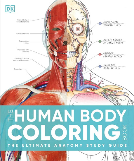 The Human Body Coloring Book: The Ultimate Anatomy Study Guide, Second Edition - COLLECTIF