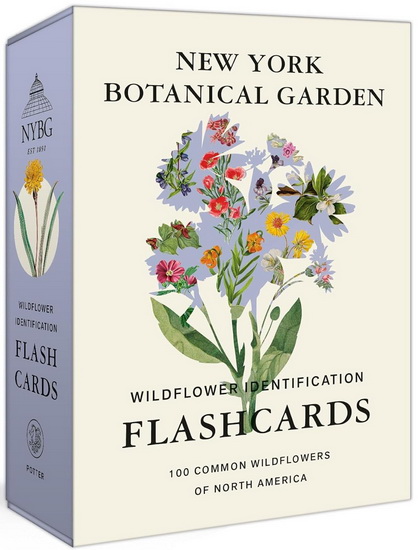 New York Botanical Garden Wildflower Identification Flashcards: 100 Common Wildflowers of North America - COLLECTIF