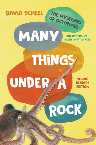 Many Things Under a Rock Young Readers Edition: The Mysteries of Octopuses - DAVID SCHEEL - LAUREL SCHEEL