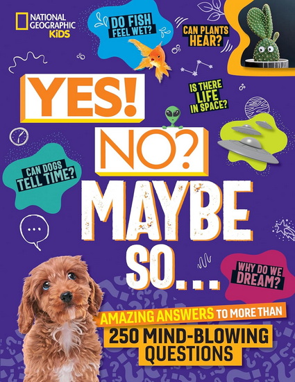 Yes! No? Maybe So...: Amazing Answers to More Than 250 Mind-Blowing Questions - JULIE BEER - PAIGE TOWLER