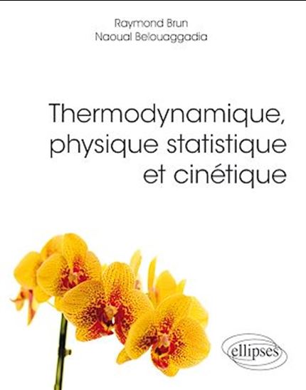 Thermodynamique, physique statistique et cinétique - NAOUAL BELOUAGGADIA - RAYMOND BRUN
