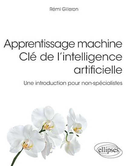 Apprentissage machine : clé de l'intelligence artificielle : une introduction pour non-spécialistes - RÉMI GILLERON