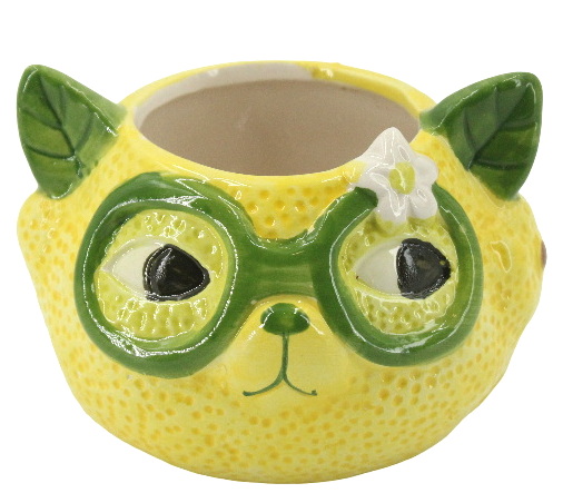 Cache-pot chat citron