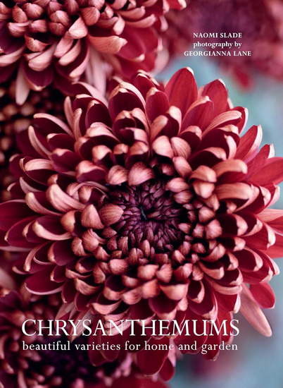 Chrysanthemums - NAOMI SLADE - GEORGIANNA LANE