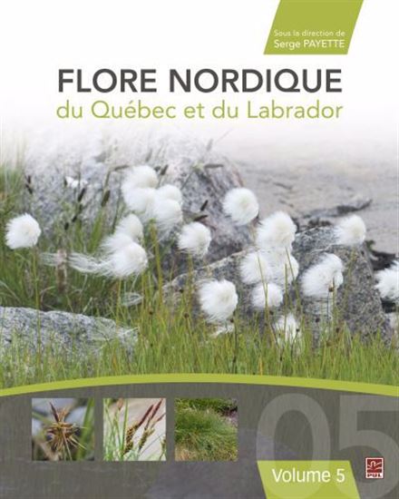 Flore nordique du Québec et du Labrador T.05 - SERGE PAYETTE