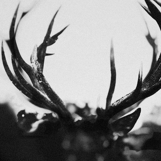 IHSAHN (2 Vinyles) - IHSAHN