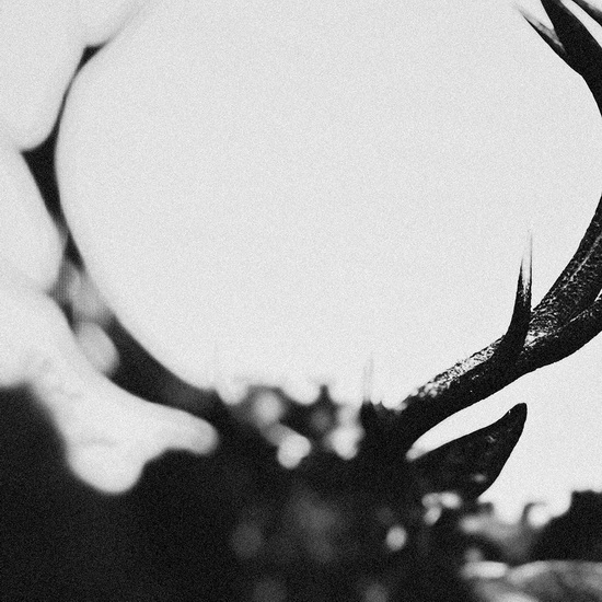 IHSAHN (Version orchestrale) - IHSAHN