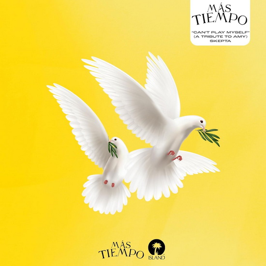 Can'T Play Myself (Vinyle) - SKEPTA