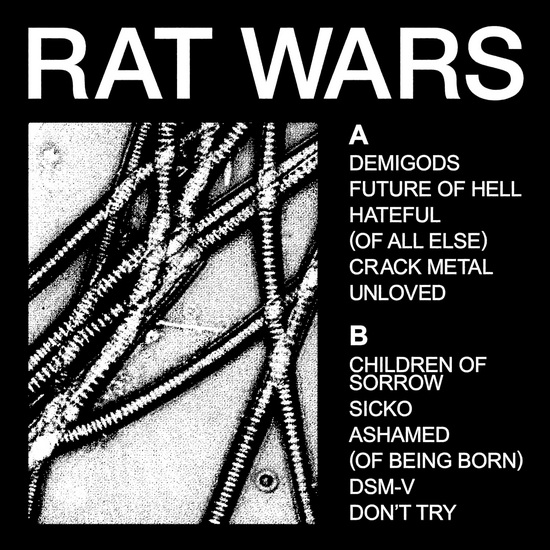 Rat Wars - HEALTH