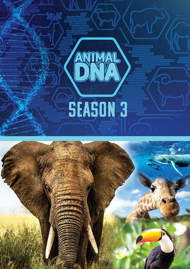 Animal DNA (Season 3) - MANUEL G. MEJIA